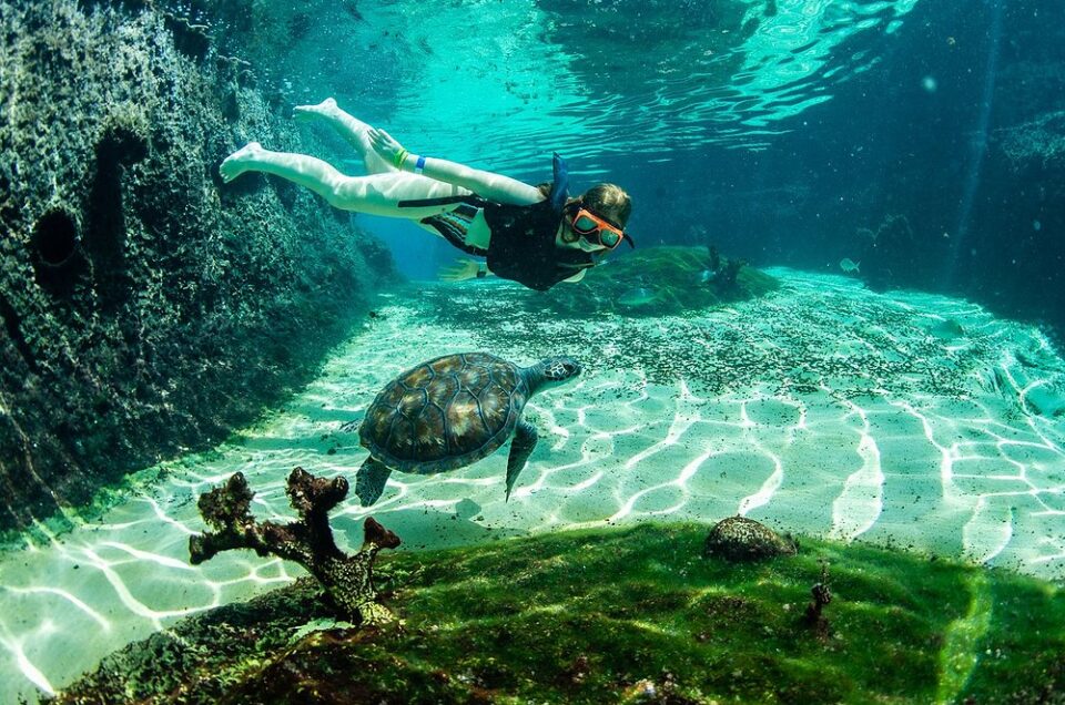Cayman Turtle Center