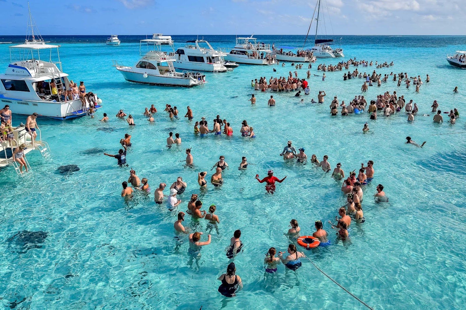 Tourists standing on Stingray Sandbar in Grand Cayman surrounded by stingrays in shallow turquoise Caribbean water.